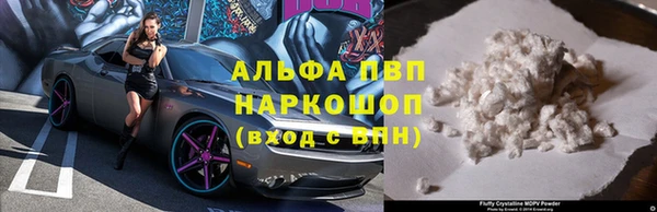 гашик Арсеньев