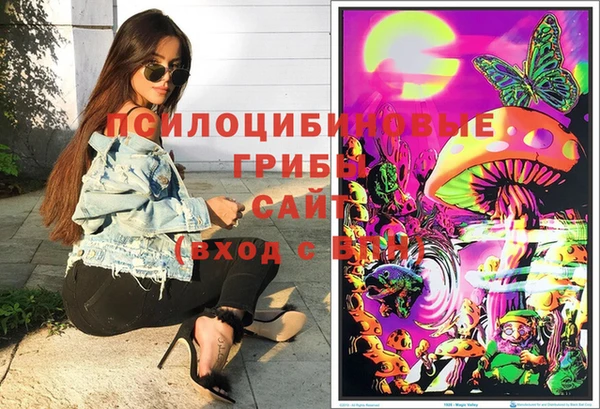 дмт Тавда