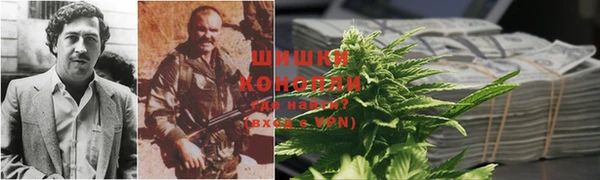 СК Аркадак