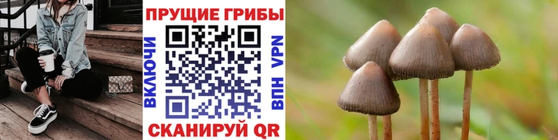 что такое наркотик  Чаплыгин  Псилоцибиновые грибы ЛСД 